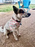 Peachy Pet Bandana