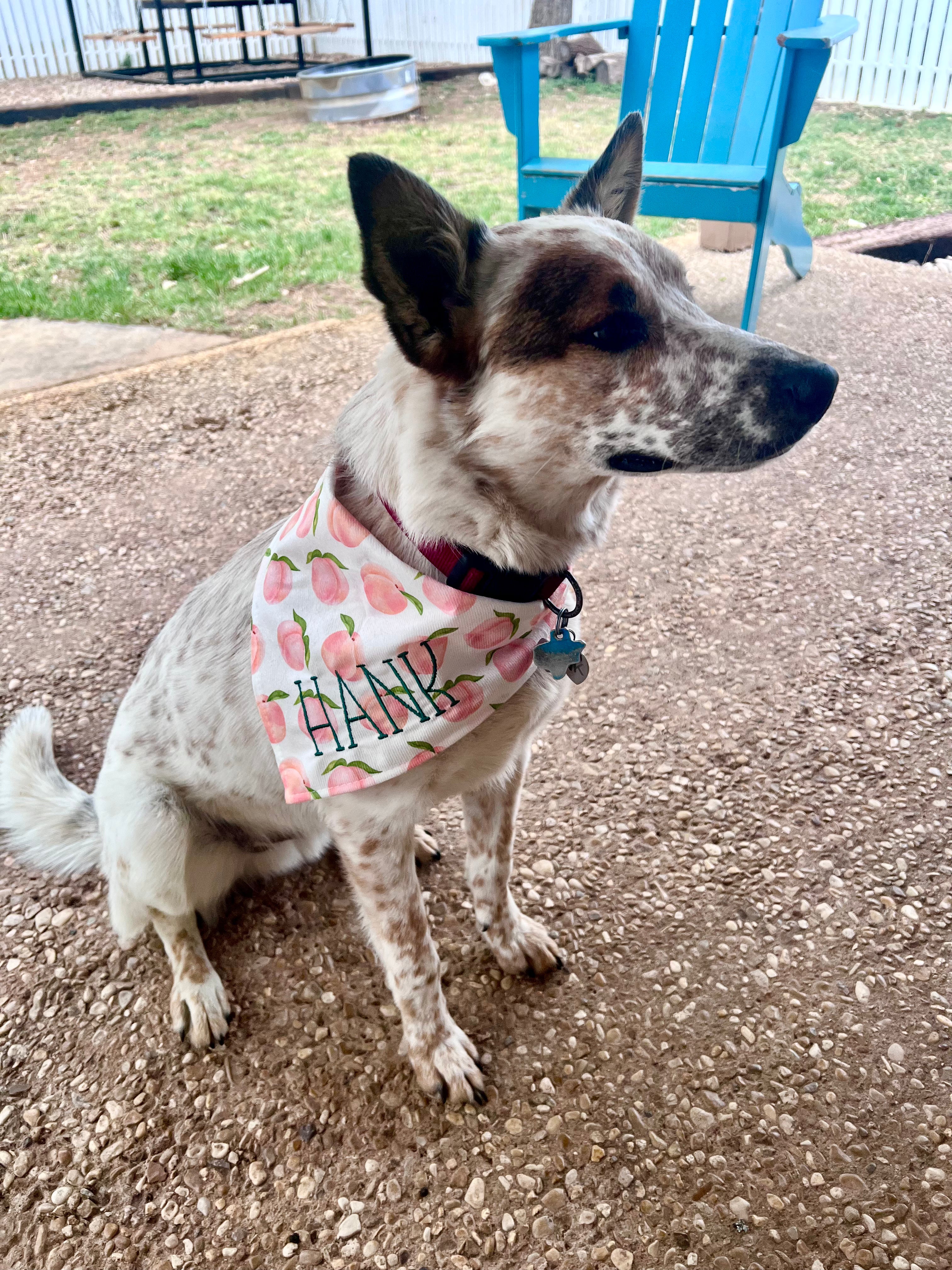 Peachy Pet Bandana